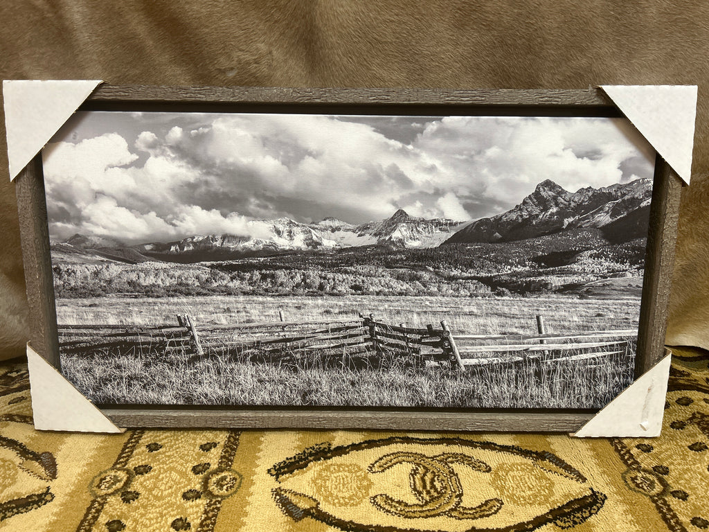 Colorado Fields