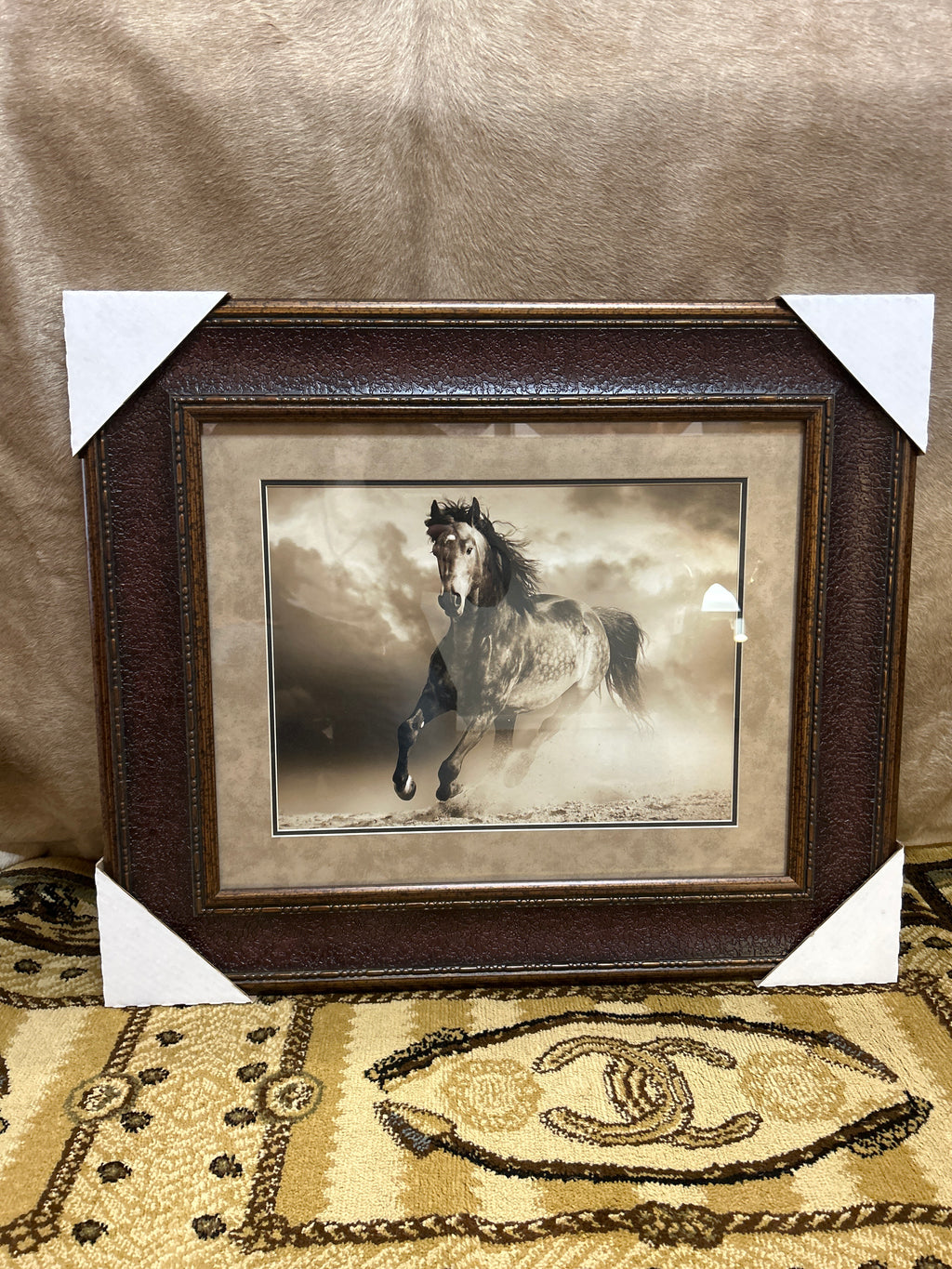 Wild Stallion
