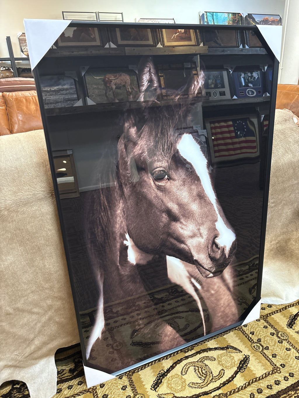 Horse Portrait Tempered Glass