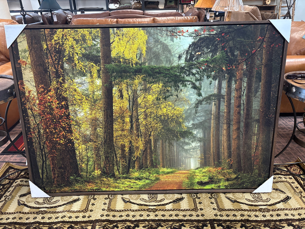 Colors of the Forest 40x60